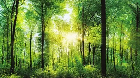 1zqgs_UaF5ONh7r8sUIoeA