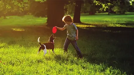 TXaNgZWG1SfORIpoFvqIfA